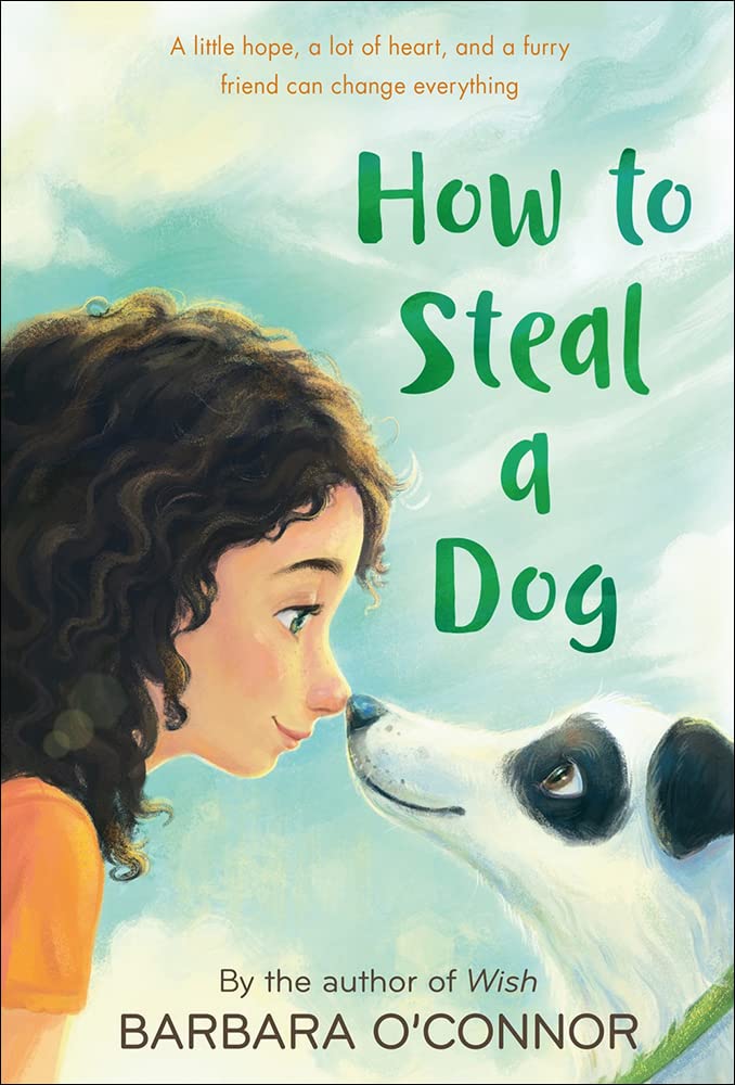 How To Steal A Dog,Used