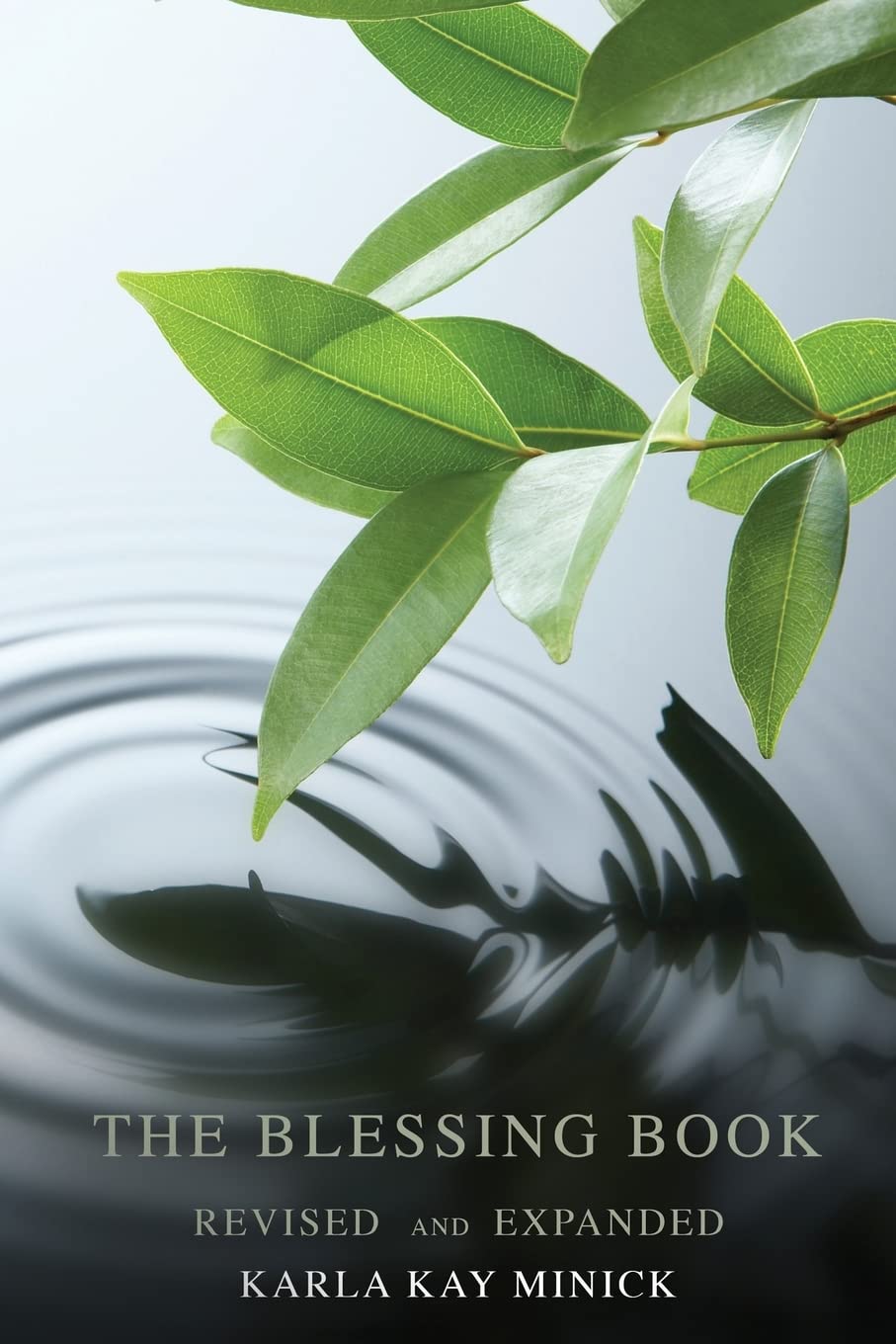 The Blessing Book: God's Story Blessing by Blessing,Used
