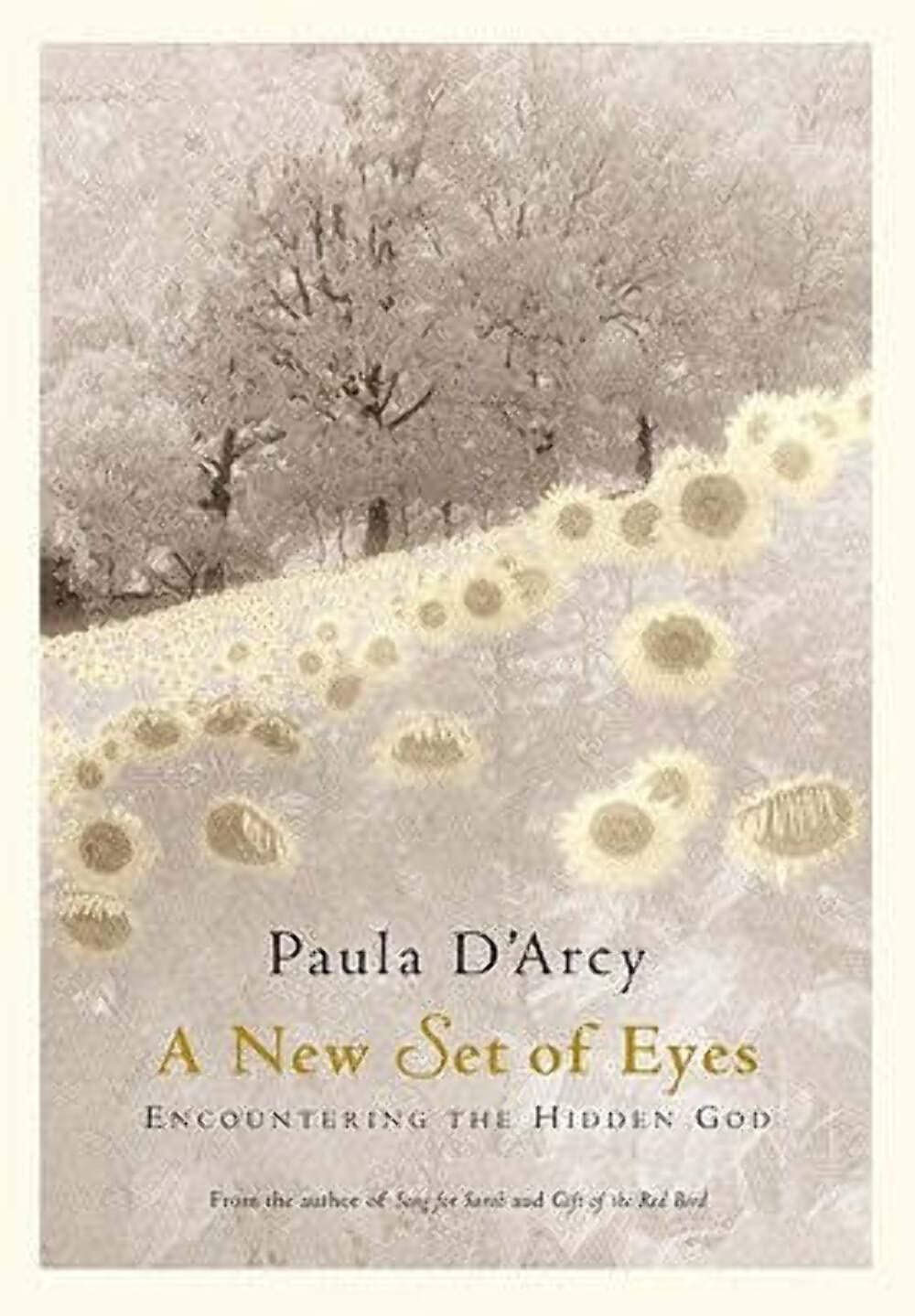 A New Set Of Eyes: Encountering The Hidden God,New