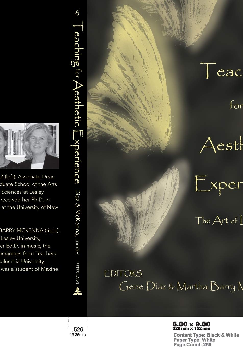 Teaching For Aesthetic Experience: The Art Of Learning (Lesley University Series In Arts And Education),Used