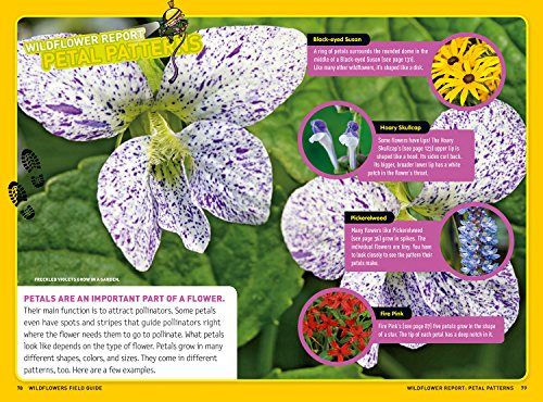 Ultimate Explorer Field Guide: Wildflowers,Used