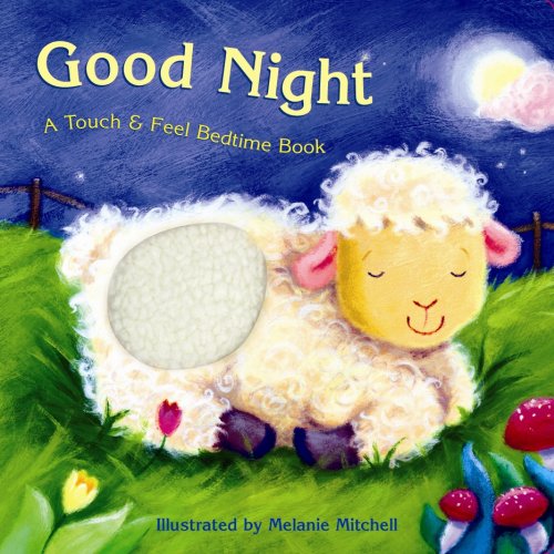 Good Night: A Touch & Feel Bedtime Book,Used
