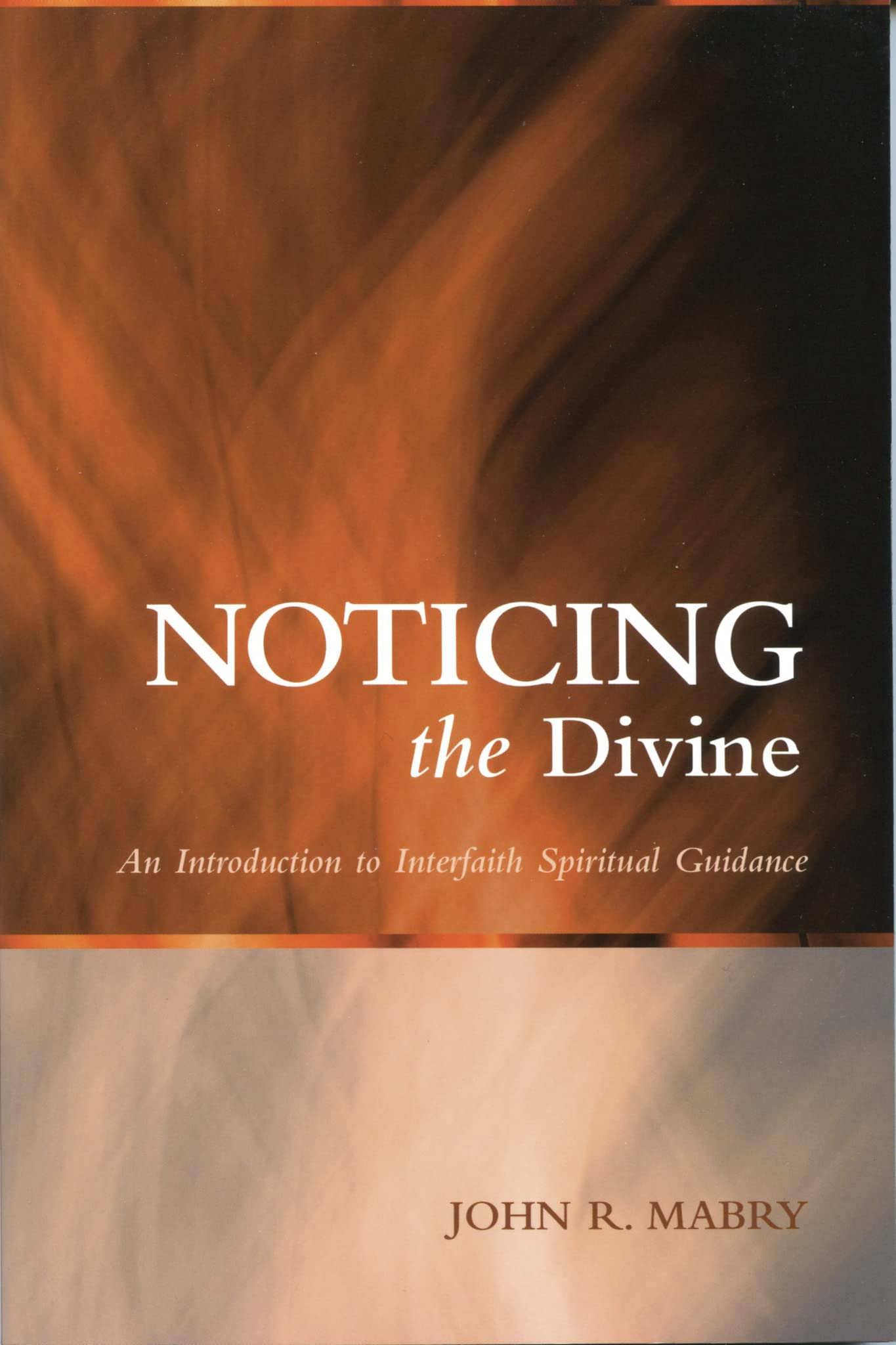 Noticing the Divine: An Introduction to Interfaith Spiritual Guidance (Spiritual Directors International Books),Used