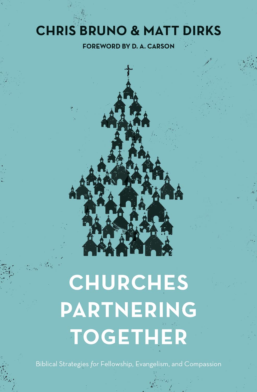 Churches Partnering Together: Biblical Strategies for Fellowship, Evangelism, and Compassion,Used