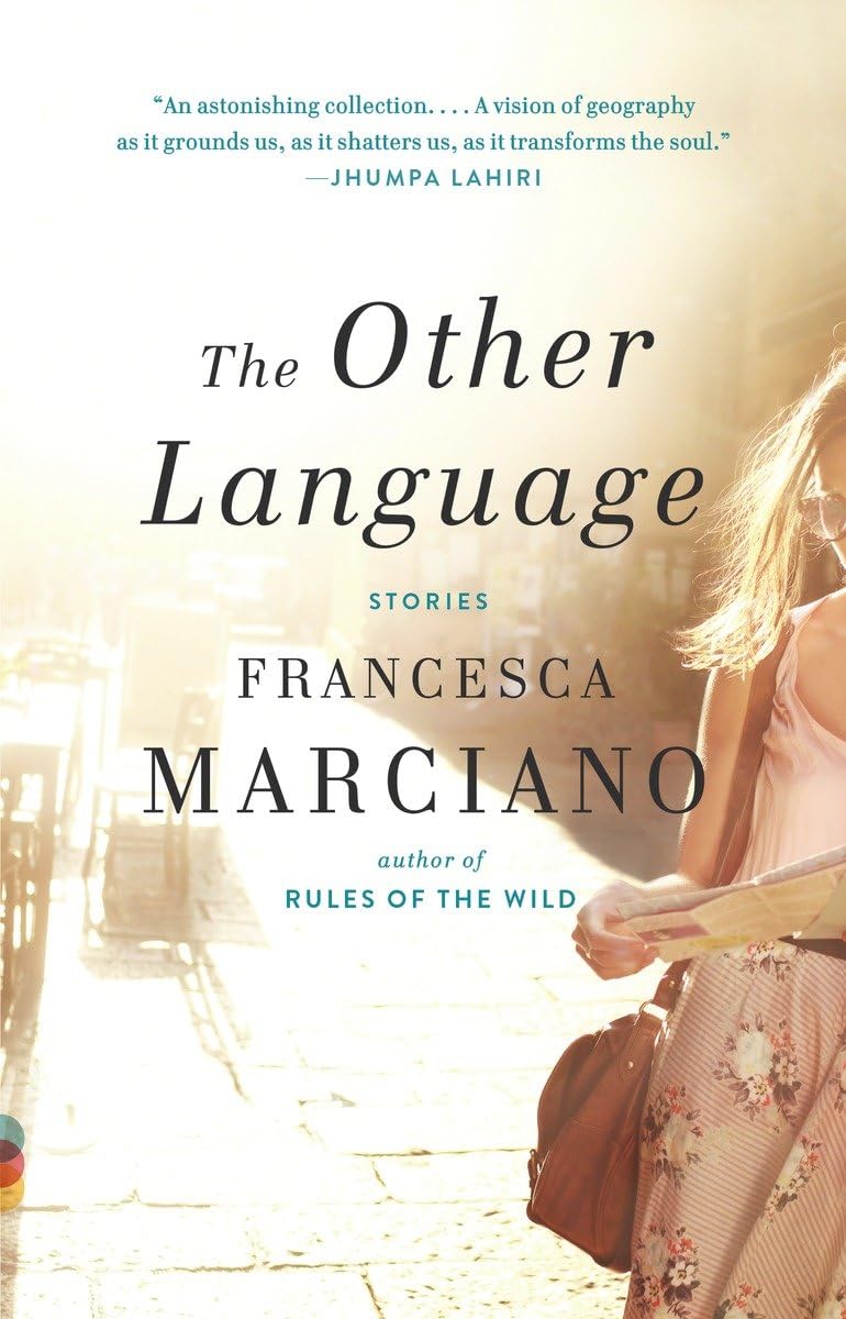 The Other Language (Vintage Contemporaries),Used