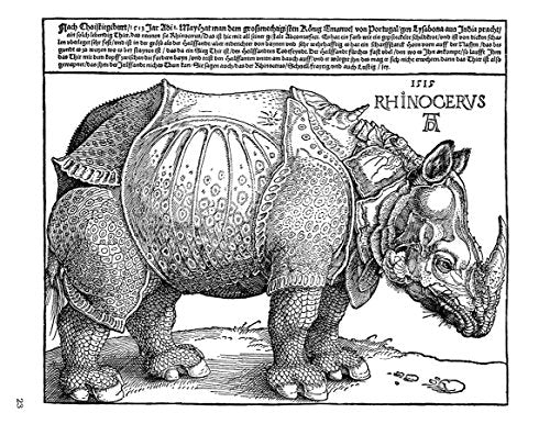 Albrecht Drer: Coloring Book,New