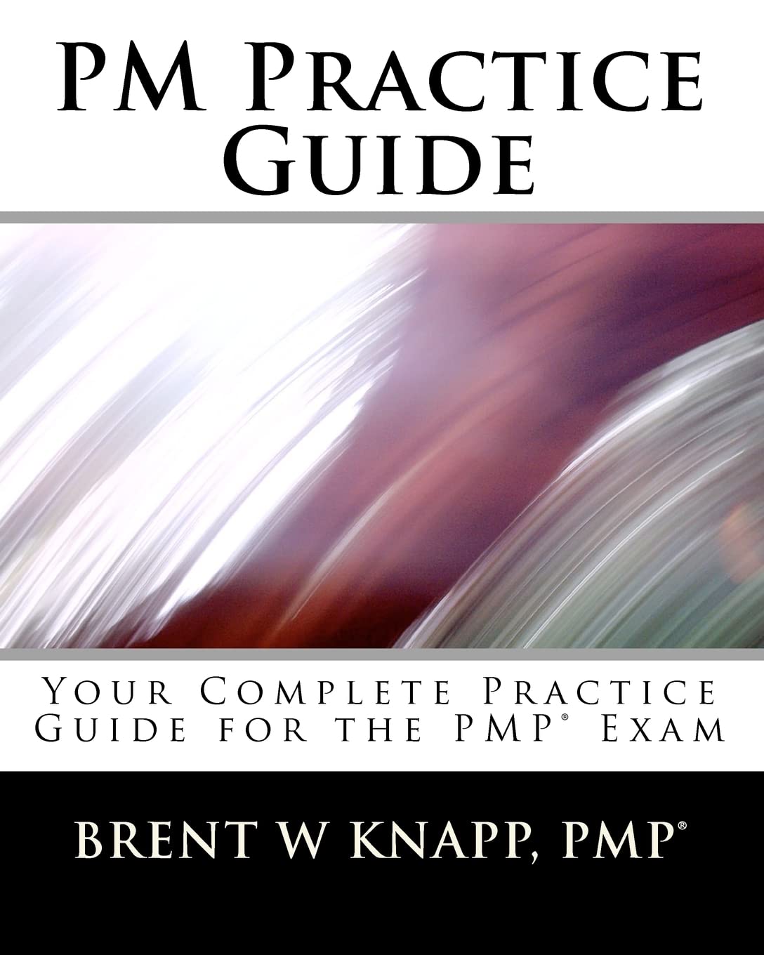 PM Practice Guide: Your Complete Practice Guide for the PMP(r) Exam,Used