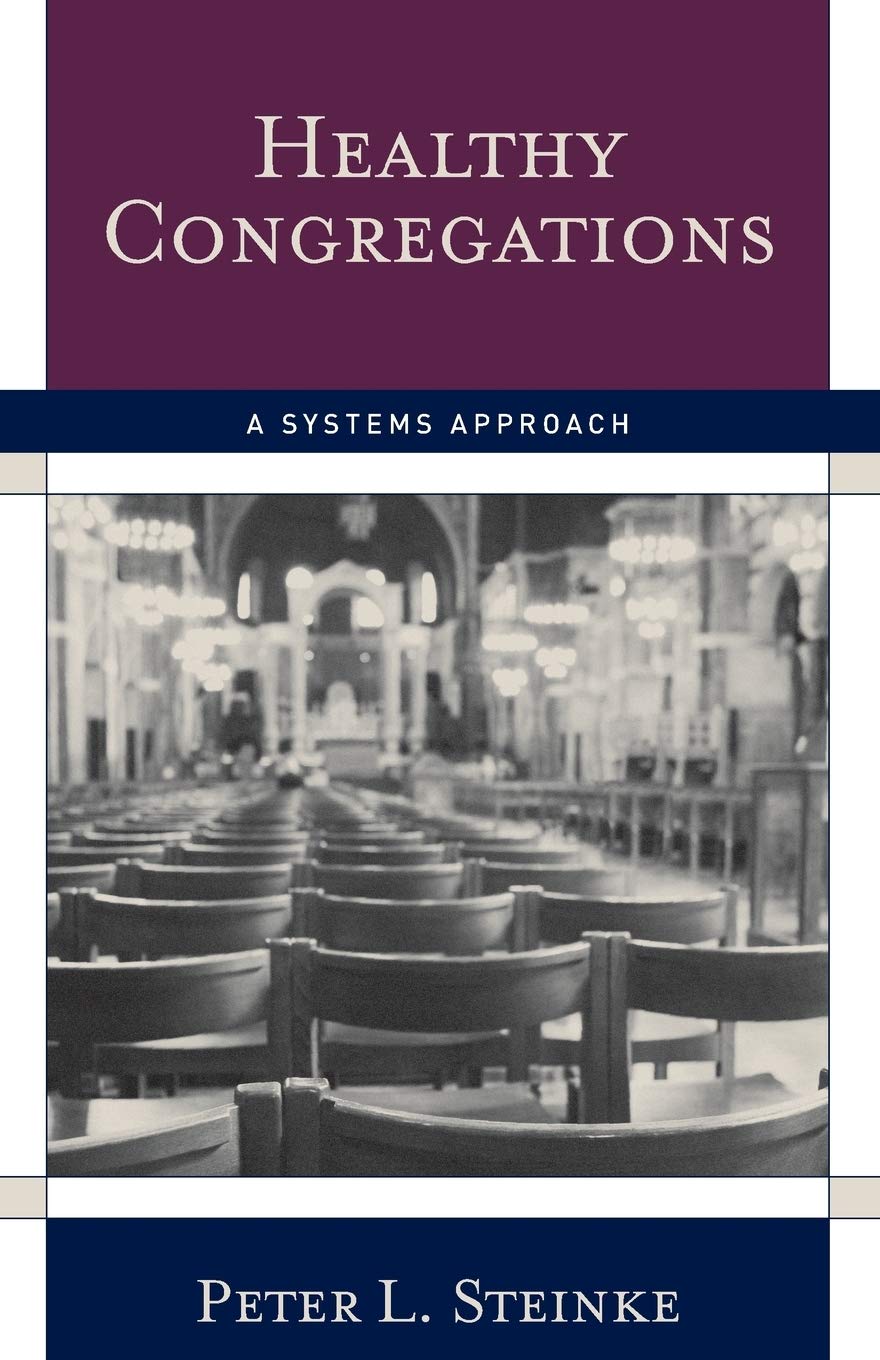 Healthy Congregations: A Systems Approach,New