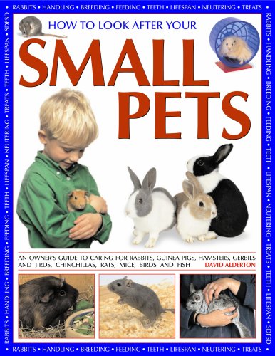 How to Look After Your Small Pets: an owners guide,Used