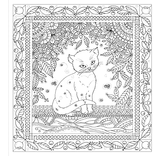 Zendoodle Colorscapes: Calming Kitties: Cozy Cats to Color and Display,Used