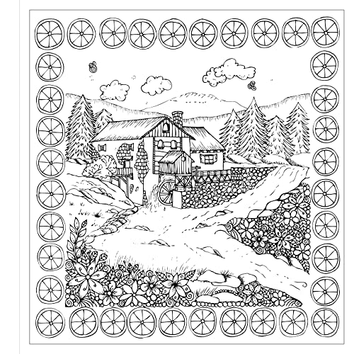 Zendoodle Colorscapes: Mindful Journey: Inspiring Paths to Color and Display,Used