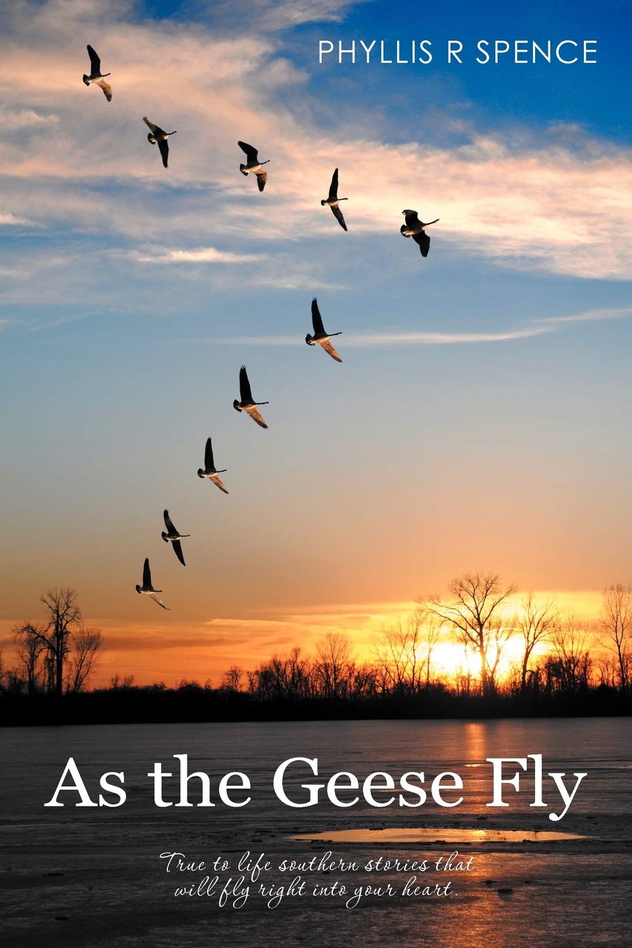 As The Geese Fly,Used