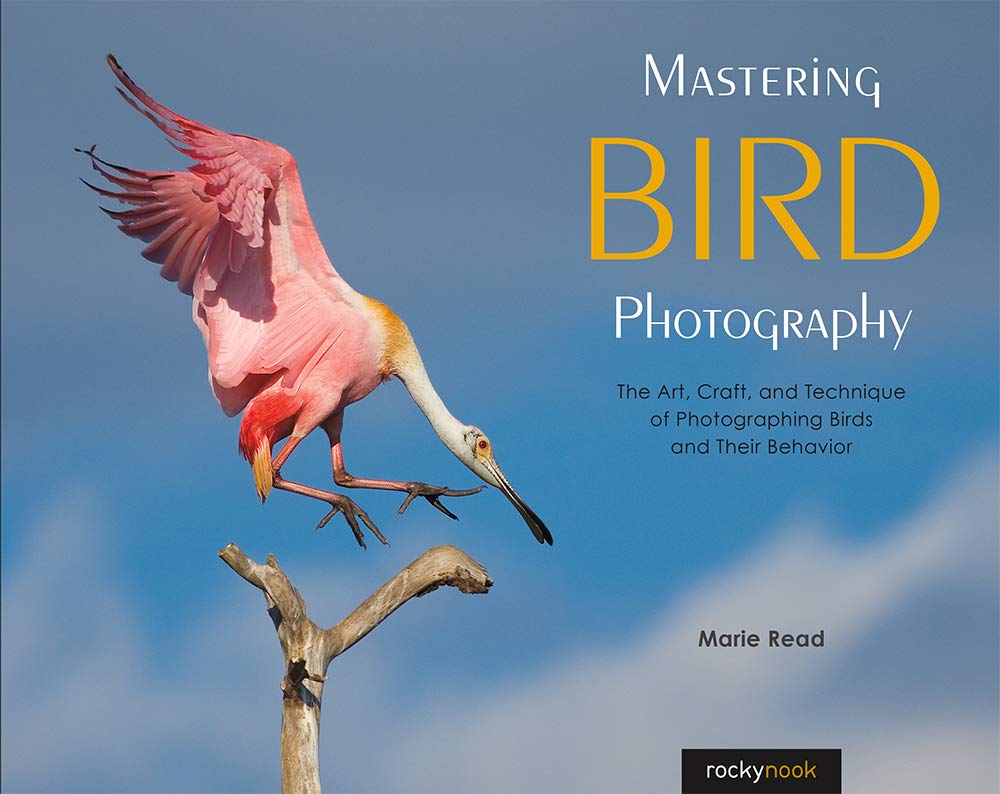Mastering Bird Photography: The Art, Craft, and Technique of Photographing Birds and Their Behavior,Used