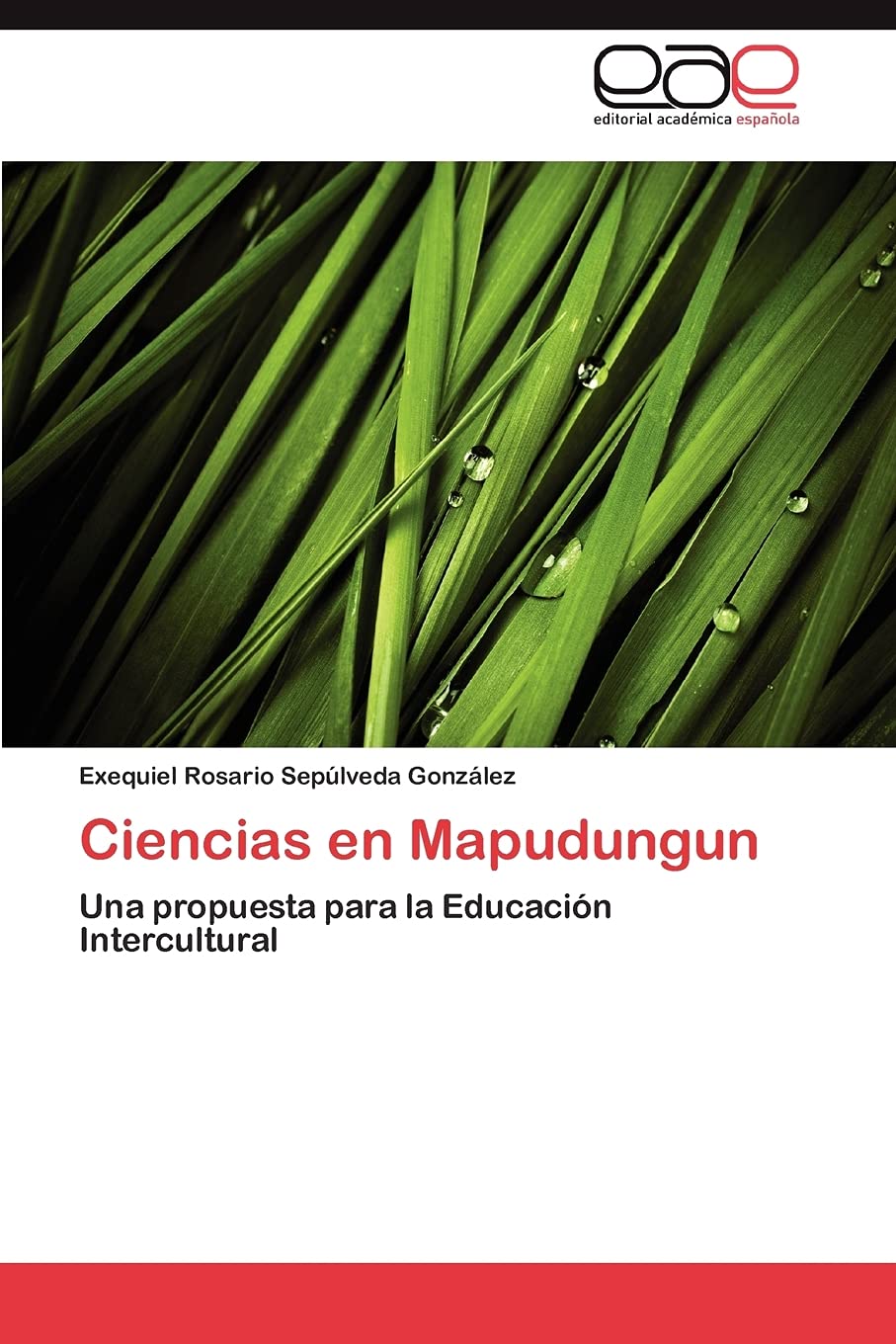 Ciencias en Mapudungun: Una propuesta para la Educacin Intercultural (Spanish Edition),Used