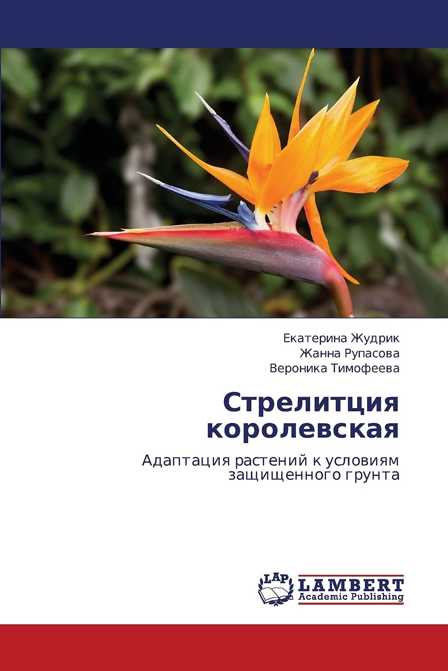 Strelittsiya korolevskaya: Adaptatsiya rasteniy k usloviyam zashchishchennogo grunta (Russian Edition),Used