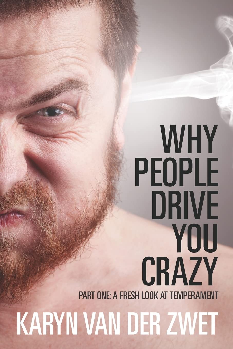 Why People Drive You Crazy: Part One: A Fresh Look At Temperament,Used