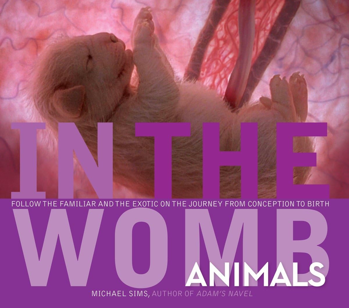 In The Womb: Animals,Used