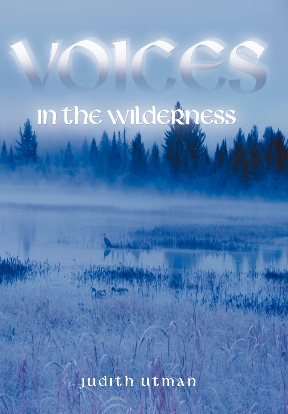 Voices In The Wilderness,Used