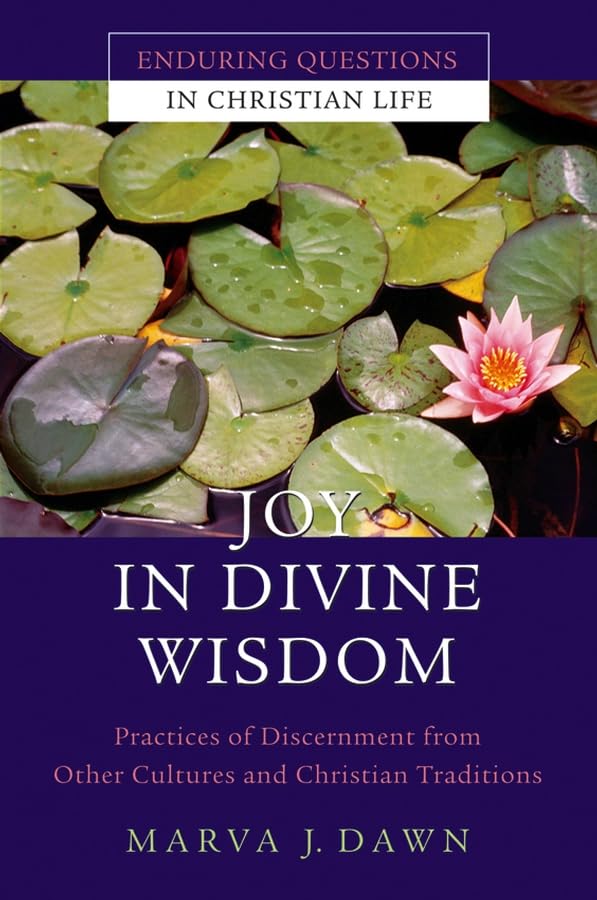Joy in Divine Wisdom: Practices of Discernment from Other Cultures and Christian Traditions (Enduring Questions in Christian Lif,Used