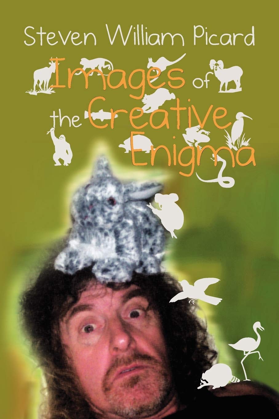 Images Of The Creative Enigma,Used