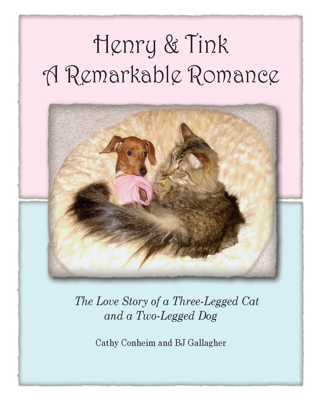 Henry and Tink: A Remarkable Romance: The Love Story of a ThreeLegged Cat and a TwoLegged Dog,Used