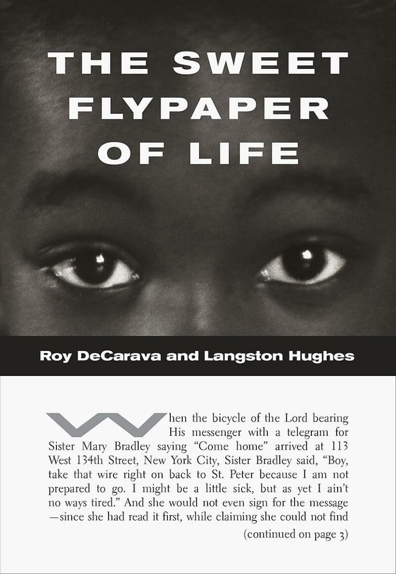 The Sweet Flypaper Of Life (Softcover)-used