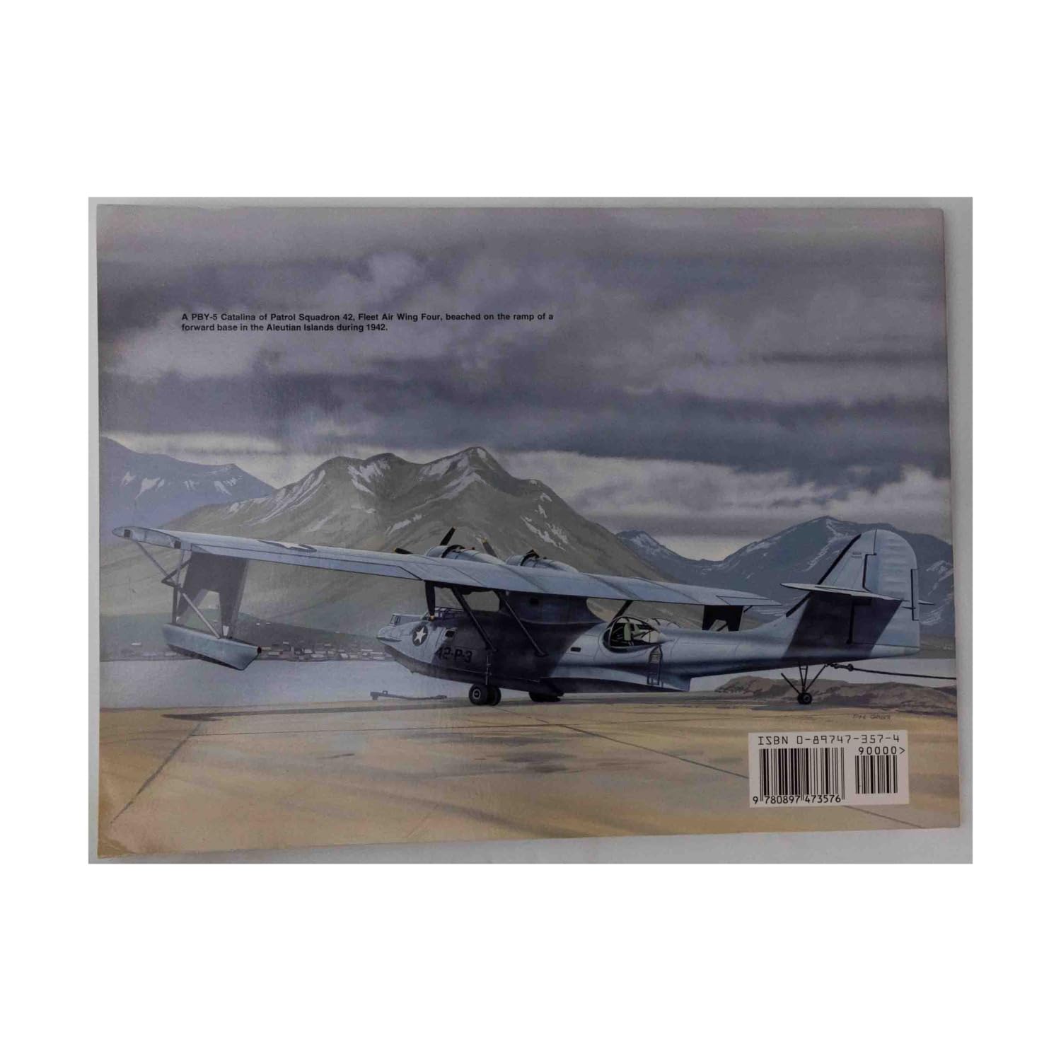 Pby Catalina Walk Around No. 5,New