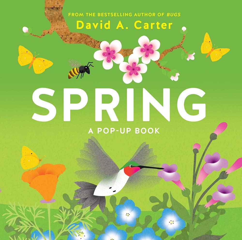 Spring: A Popup Book (Seasons Popup)