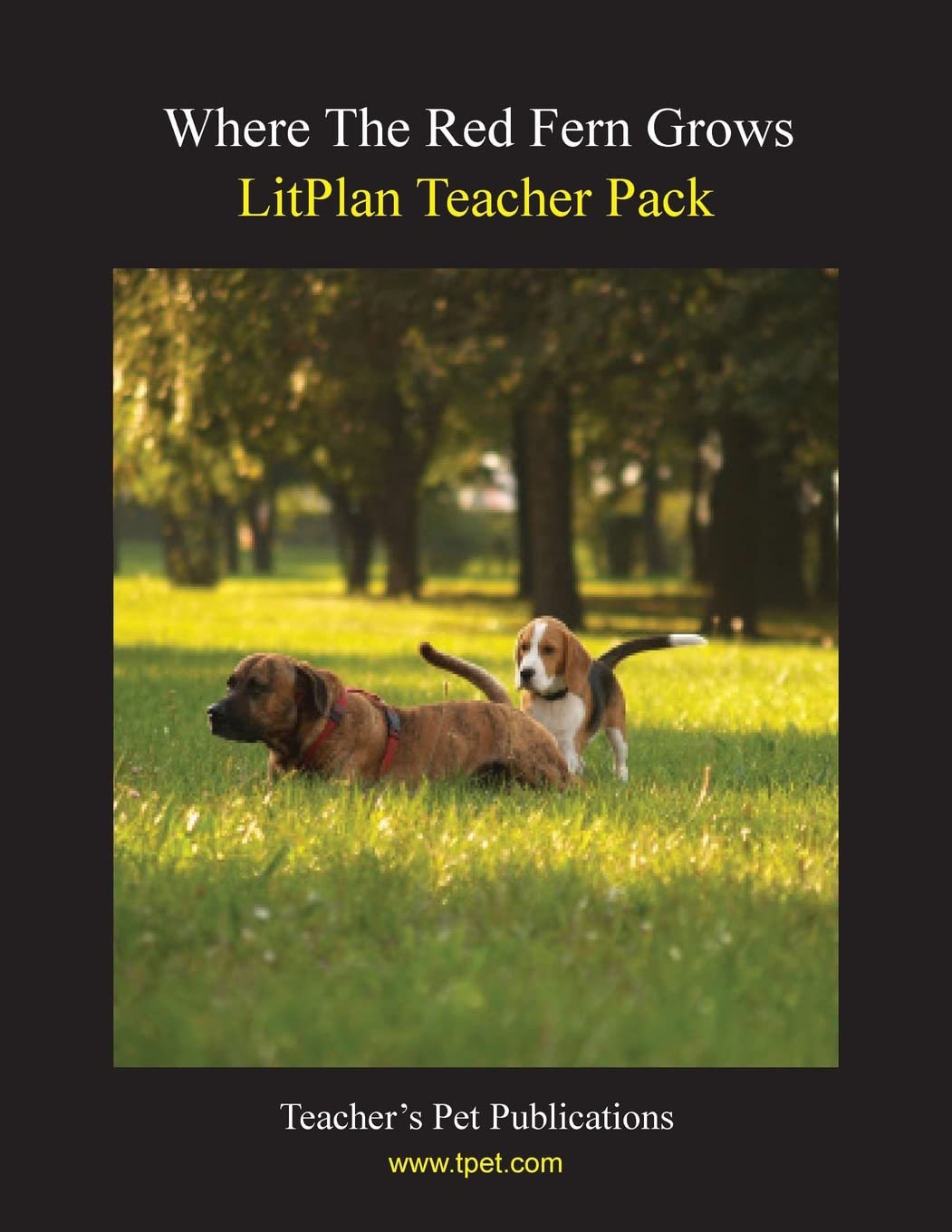 Litplan Teacher Pack: Where The Red Fern Grows,Used