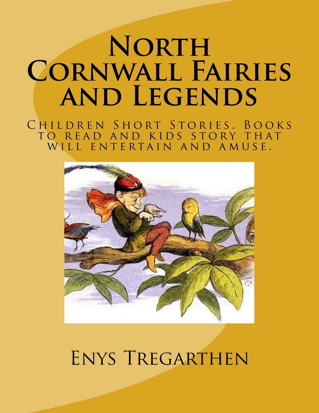 North Cornwall Fairies and Legends: Children Short Stories. Books to read and kids story that will entertain and amuse.,Used