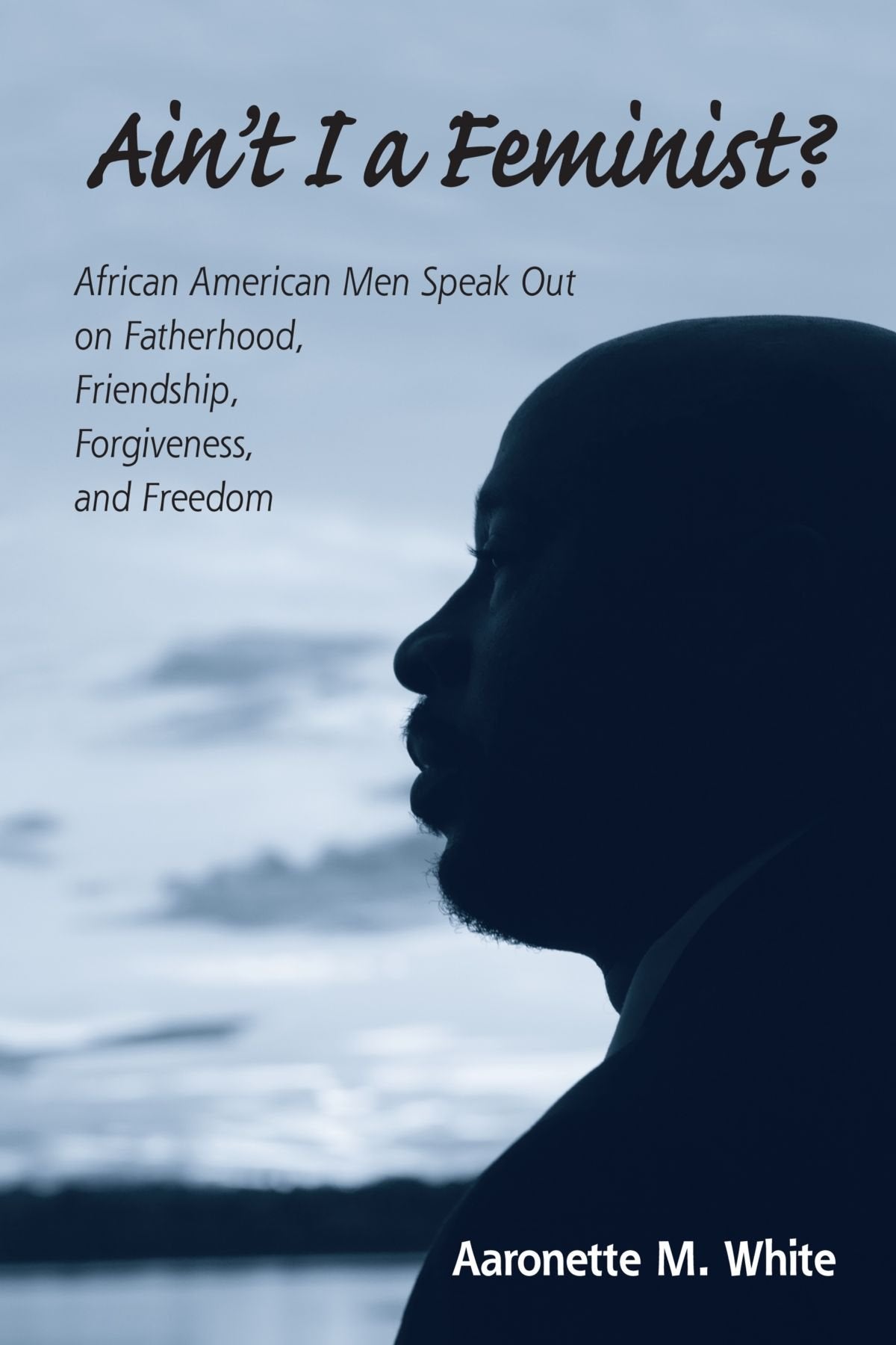 Ain'T I A Feminist?: African American Men Speak Out On Fatherhood, Friendship, Forgiveness, And Freedom,New