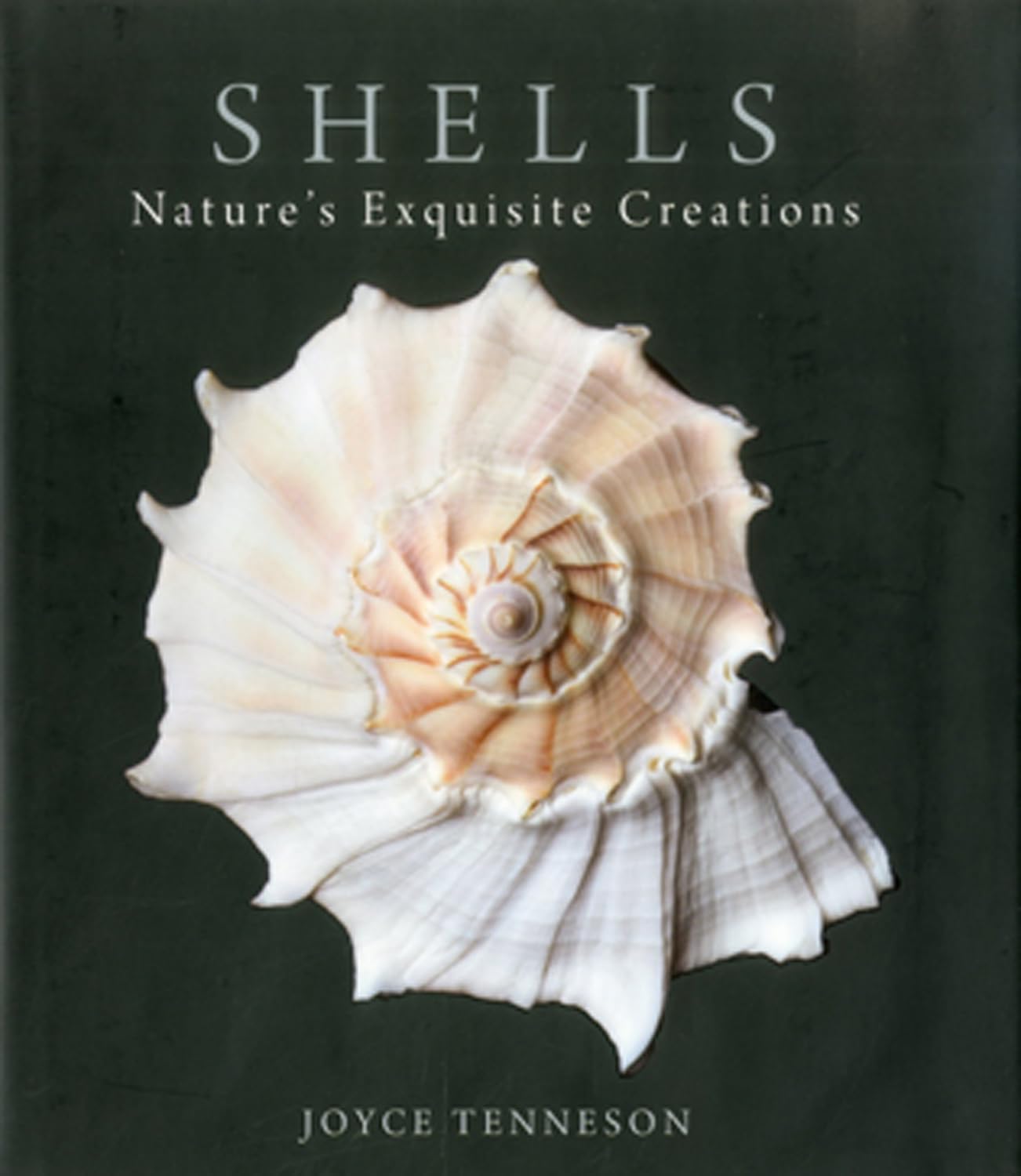 Shells: Nature's Exquisite Creations,Used