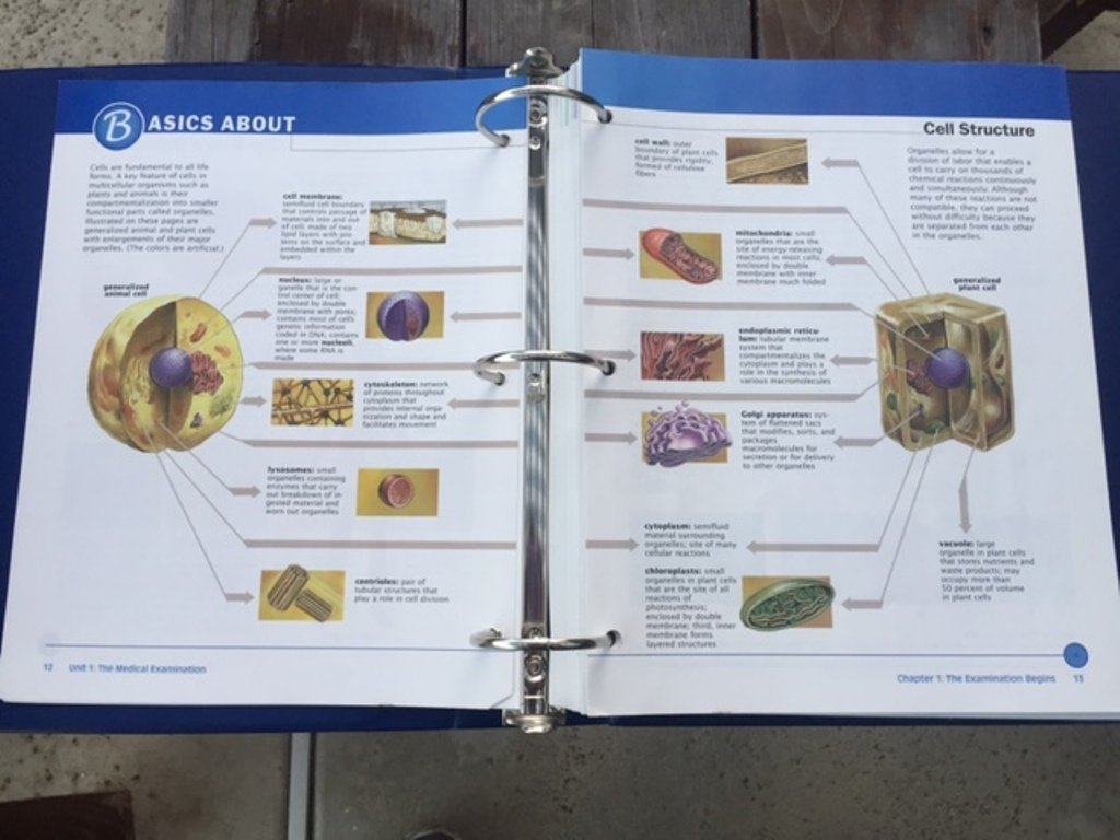 Biological Perspectives,New