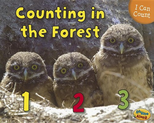 Counting in the Forest (I Can Count!),Used