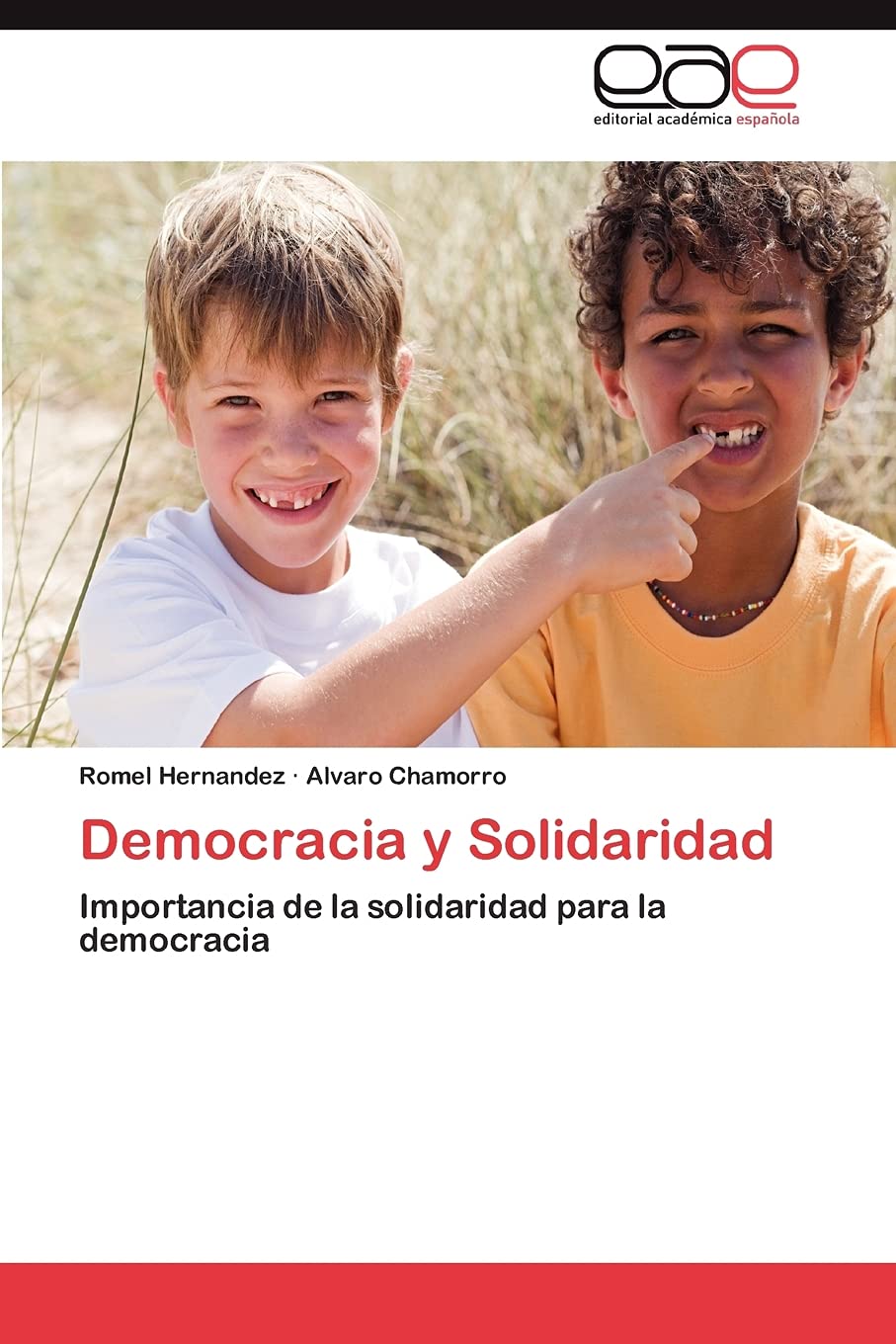 Democracia y Solidaridad: Importancia de la solidaridad para la democracia (Spanish Edition),Used