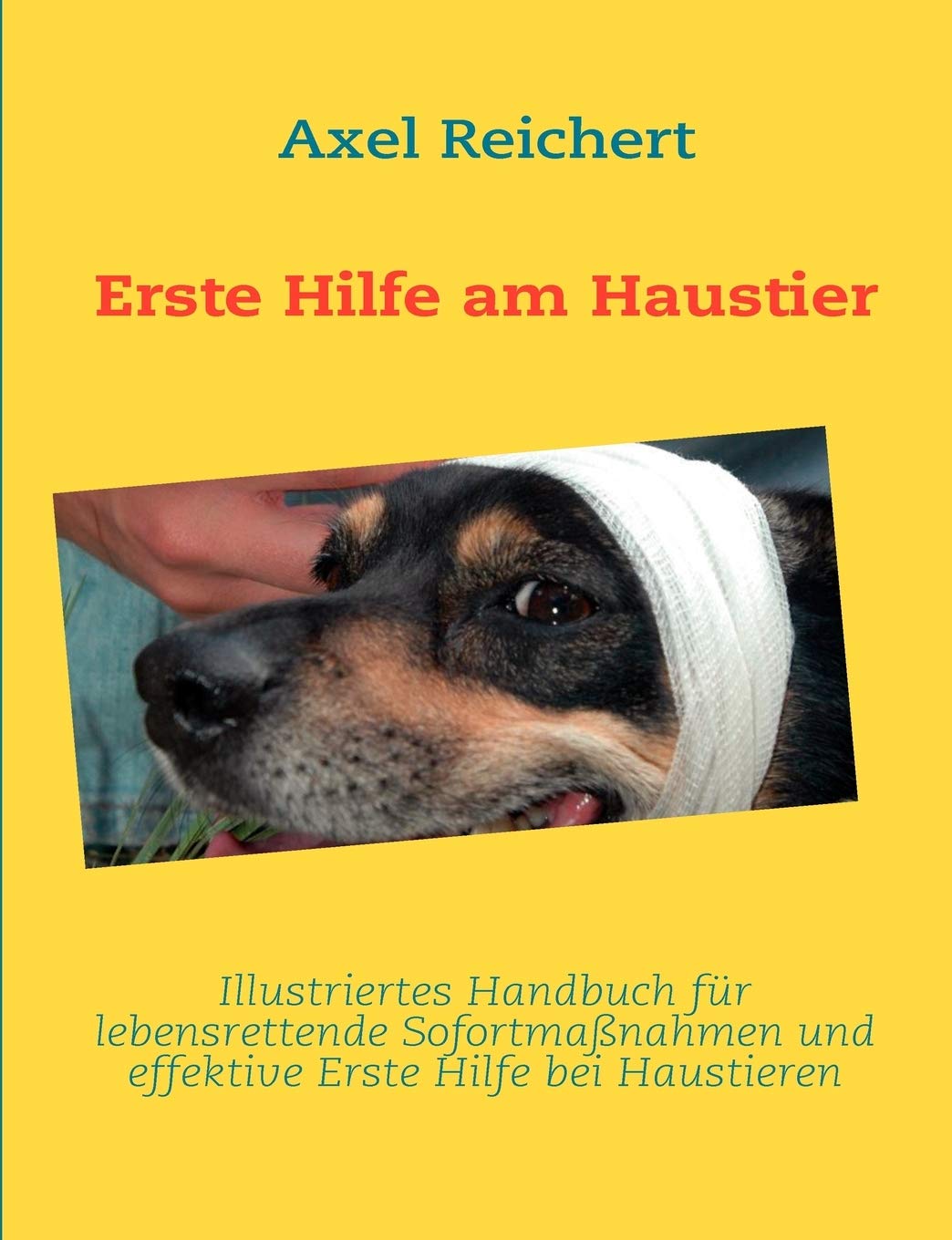 Erste Hilfe am Haustier (German Edition),Used