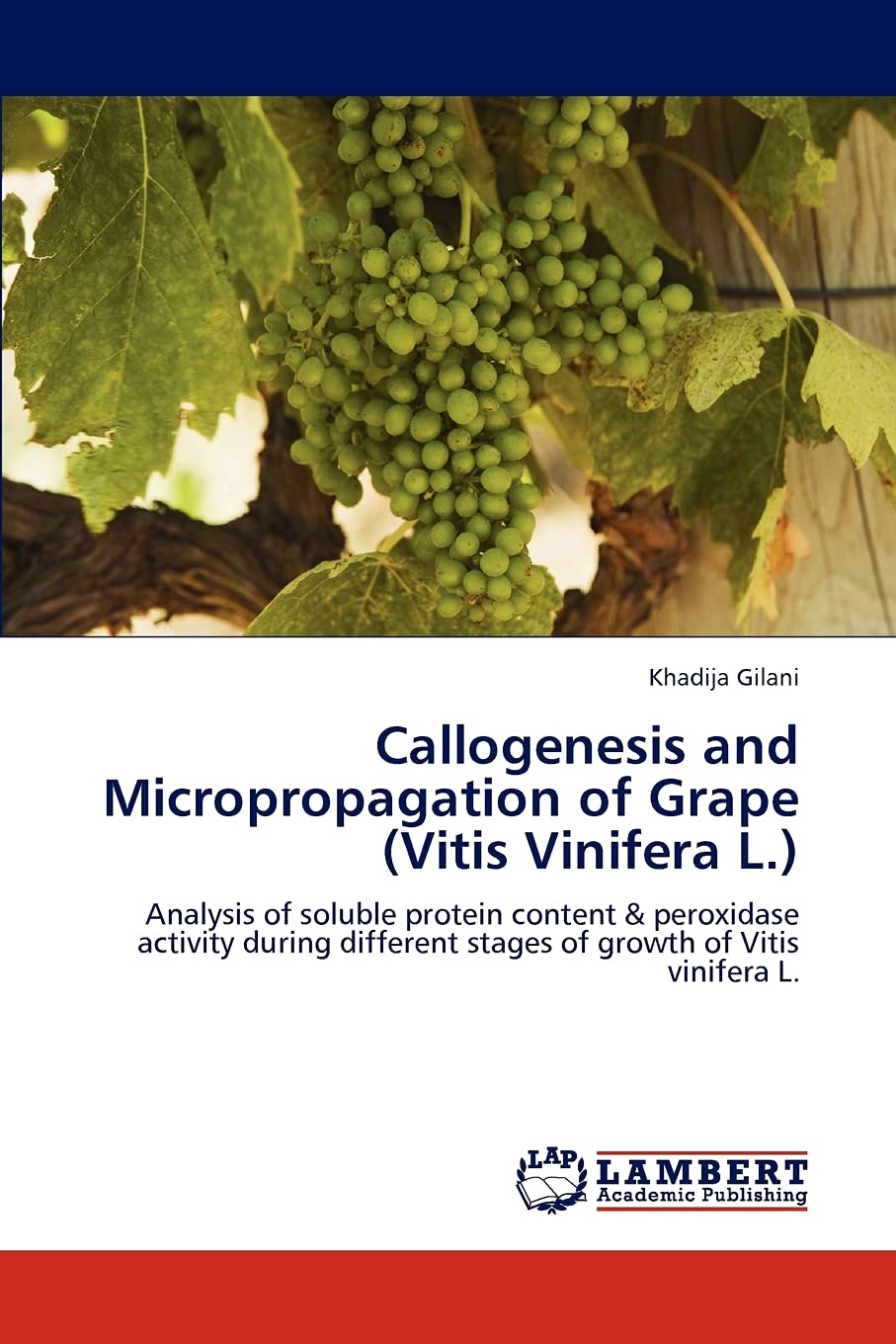 Callogenesis and Micropropagation of Grape (Vitis Vinifera L.): Analysis of soluble protein content & peroxidase activity during,Used