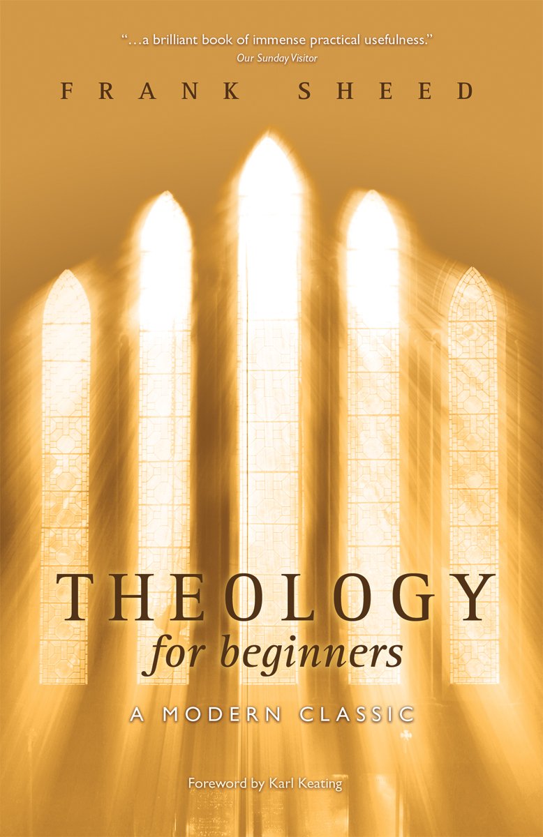Theology for Beginners,Used