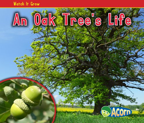 An Oak Tree's Life (Acorn: Watch It Grow),Used