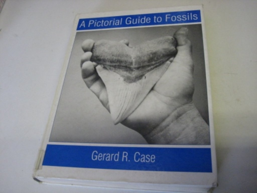 A Pictorial Guide to Fossils,Used