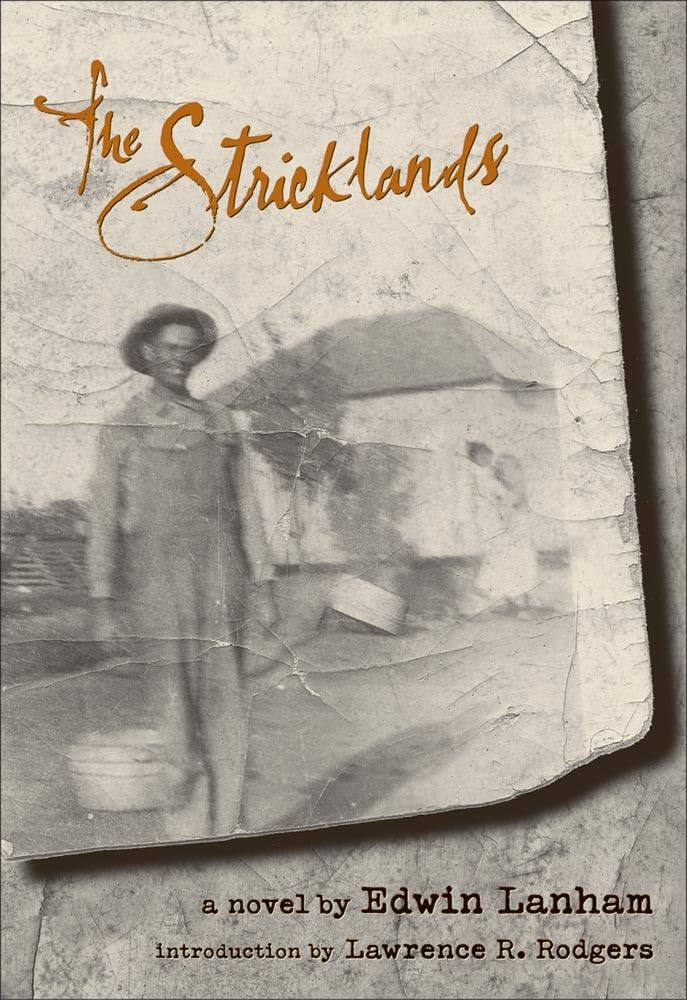 The Stricklands: A Novel,Used