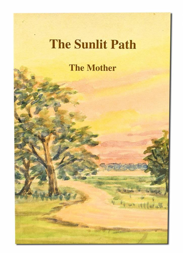 Sunlit Path,Used