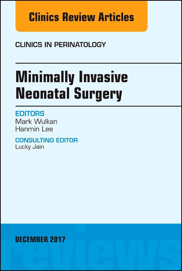 Minimally Invasive Neonatal Surgery, An Issue of Clinics in Perinatology (Volume 444) (The Clinics: Internal Medicine, Volume 4,Used