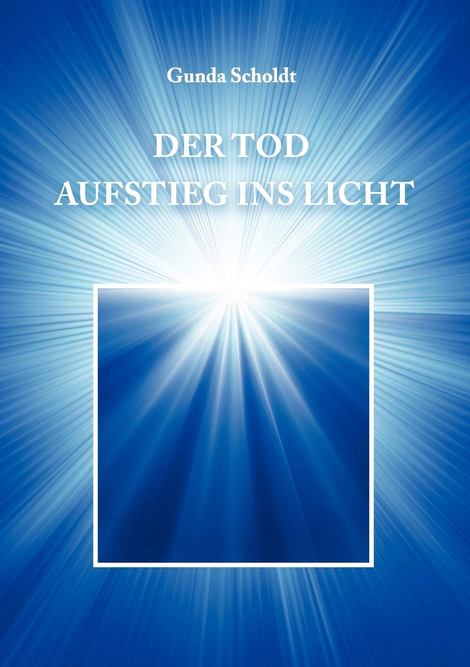 Der Tod: Aufstieg ins Licht (German Edition),Used