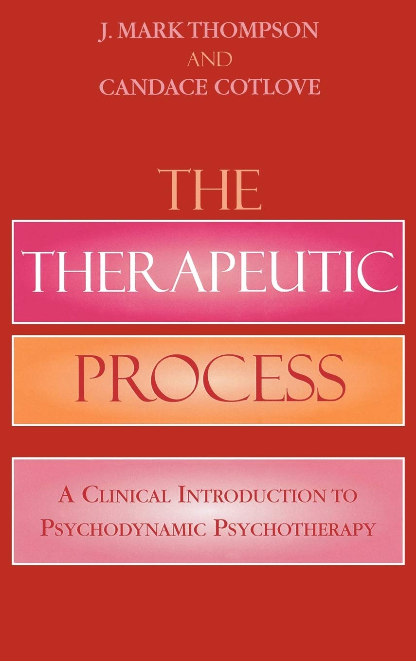 The Therapeutic Process: A Clinical Introduction to Psychodynamic Psychotherapy,Used
