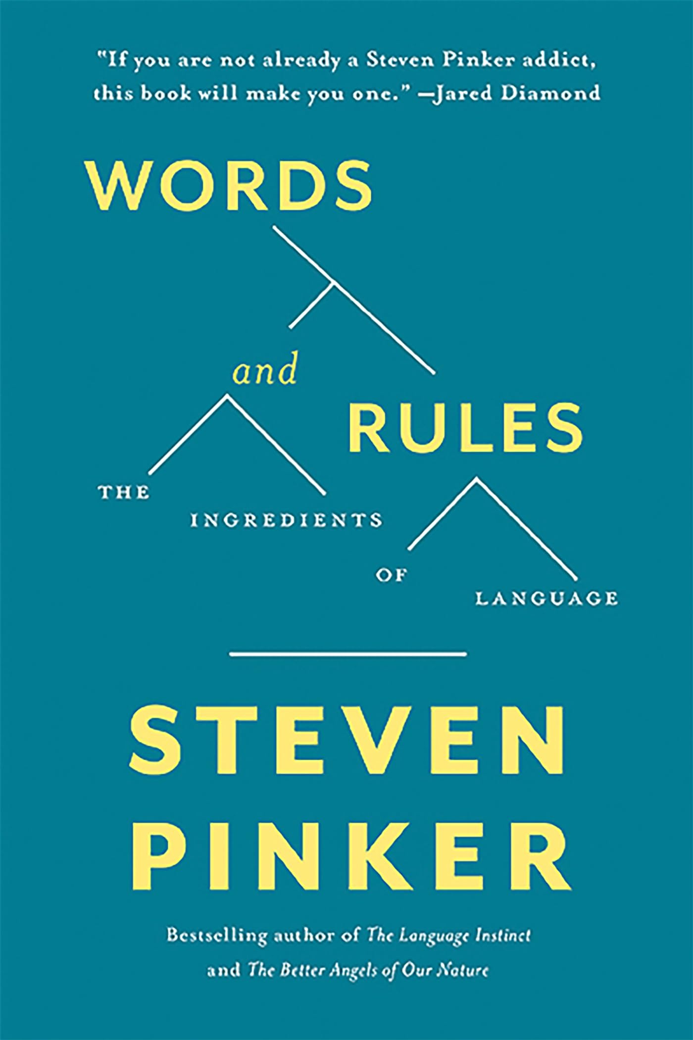Words and Rules: The Ingredients Of Language (Science Masters Series),Used