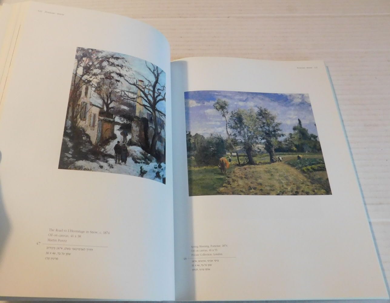 Camille Pissarro: Impressionist innovator,Used