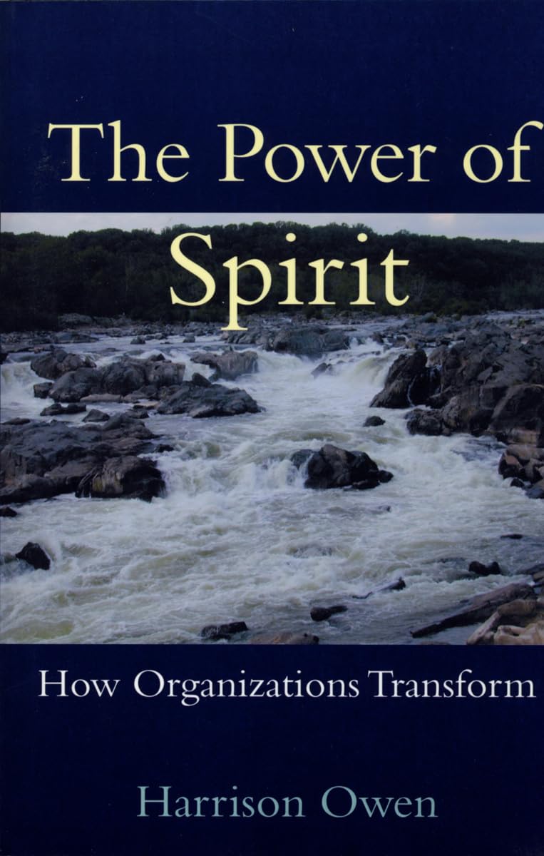 The Power of Spirit: How Organizations Transform,Used