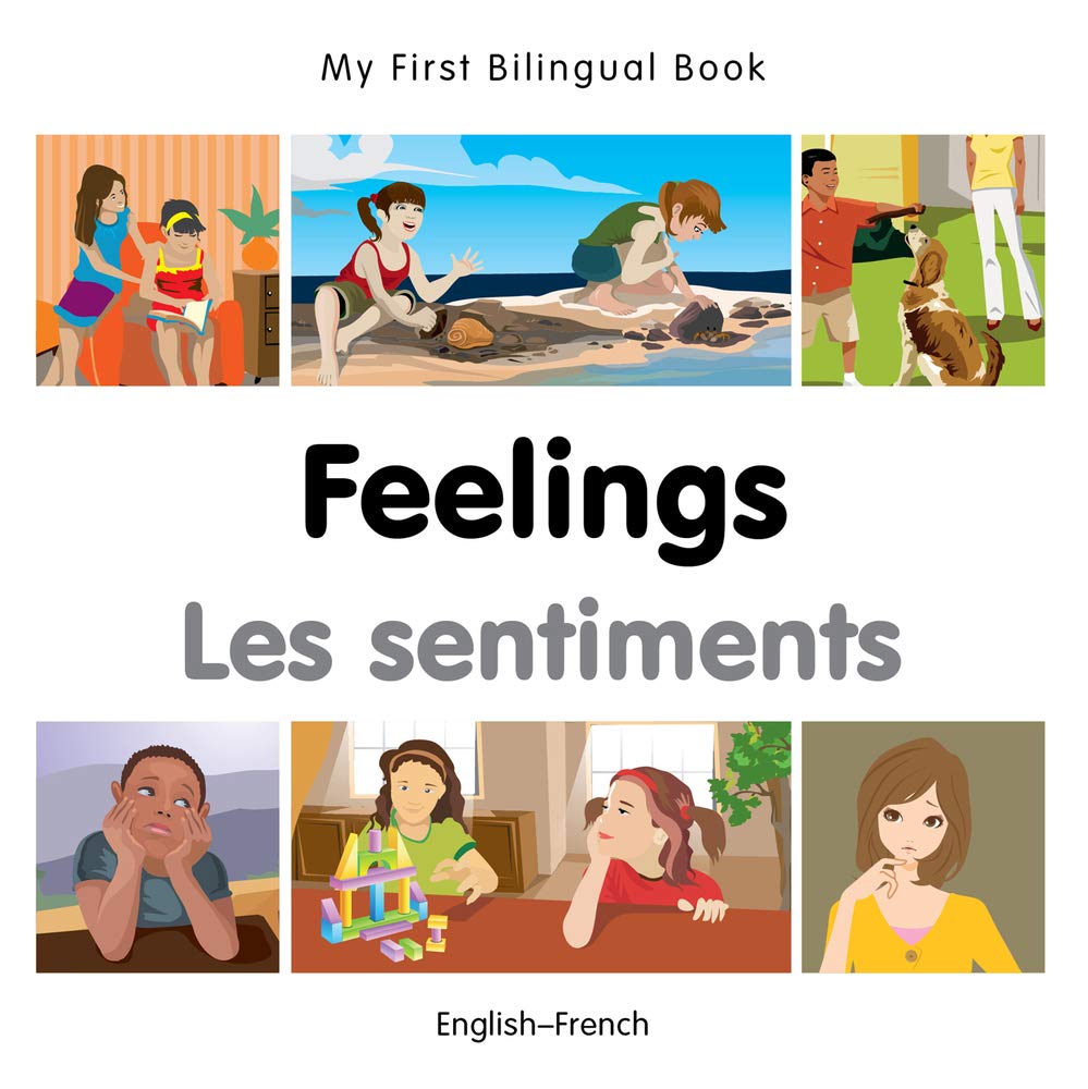 My First Bilingual BookFeelings (EnglishFrench) (French and English Edition),Used