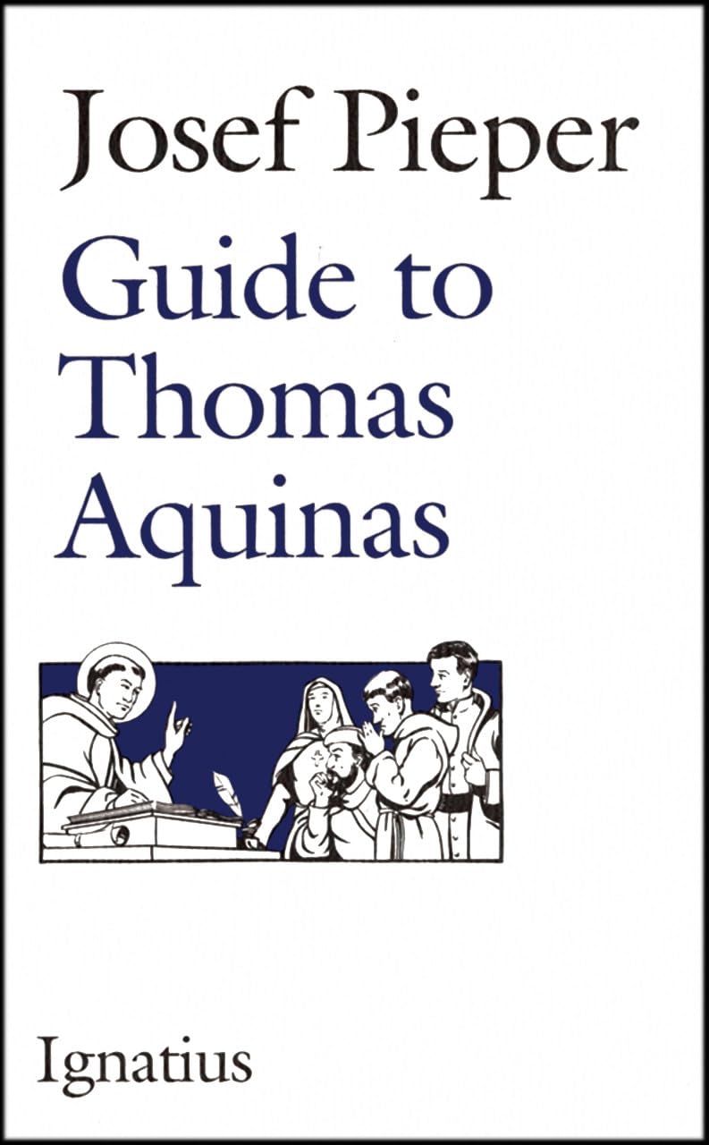 Guide to Thomas Aquinas,Used